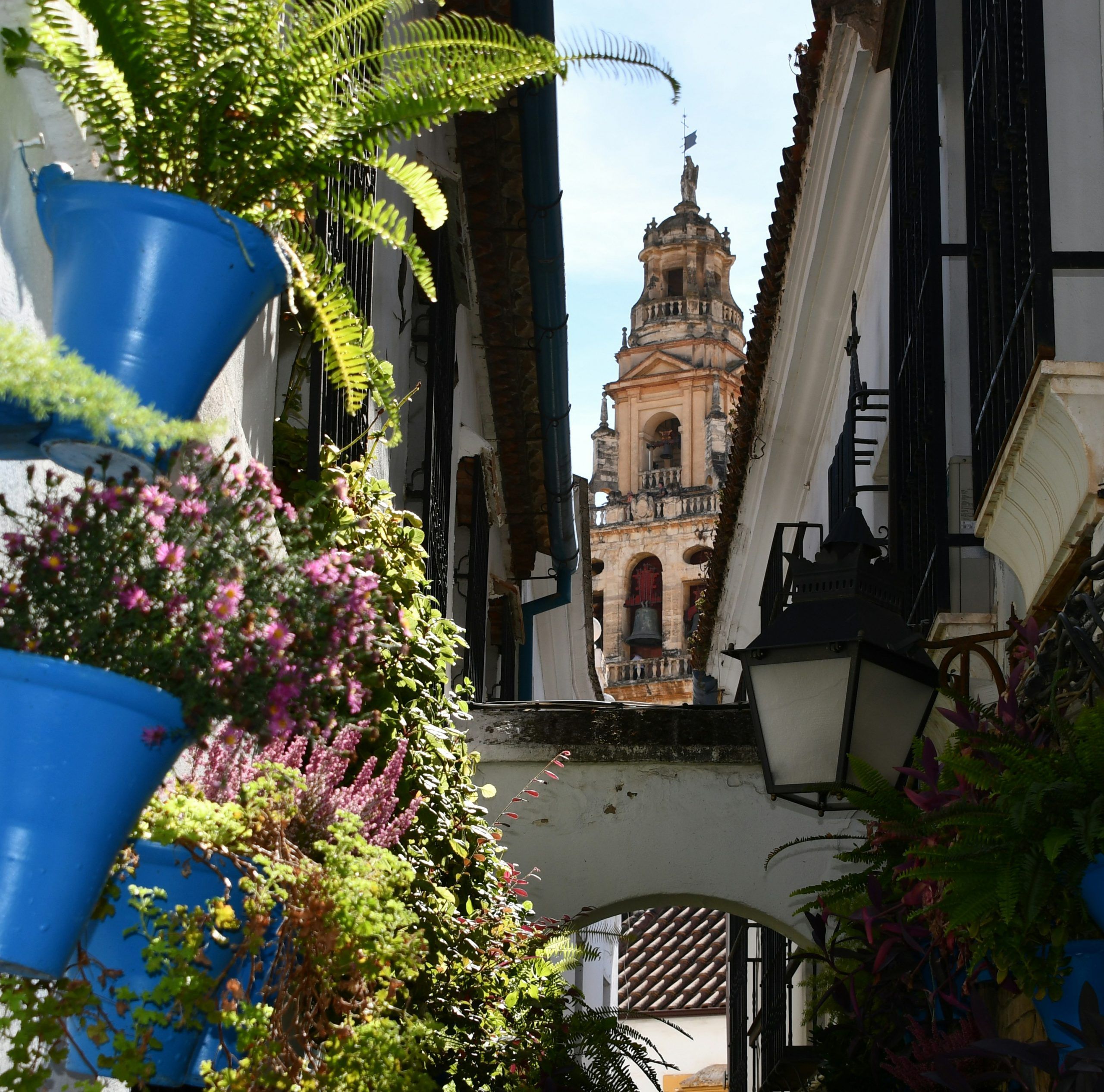 foto de los patios de cordoba ciudad en el blog de Ideal Inmobiliaria