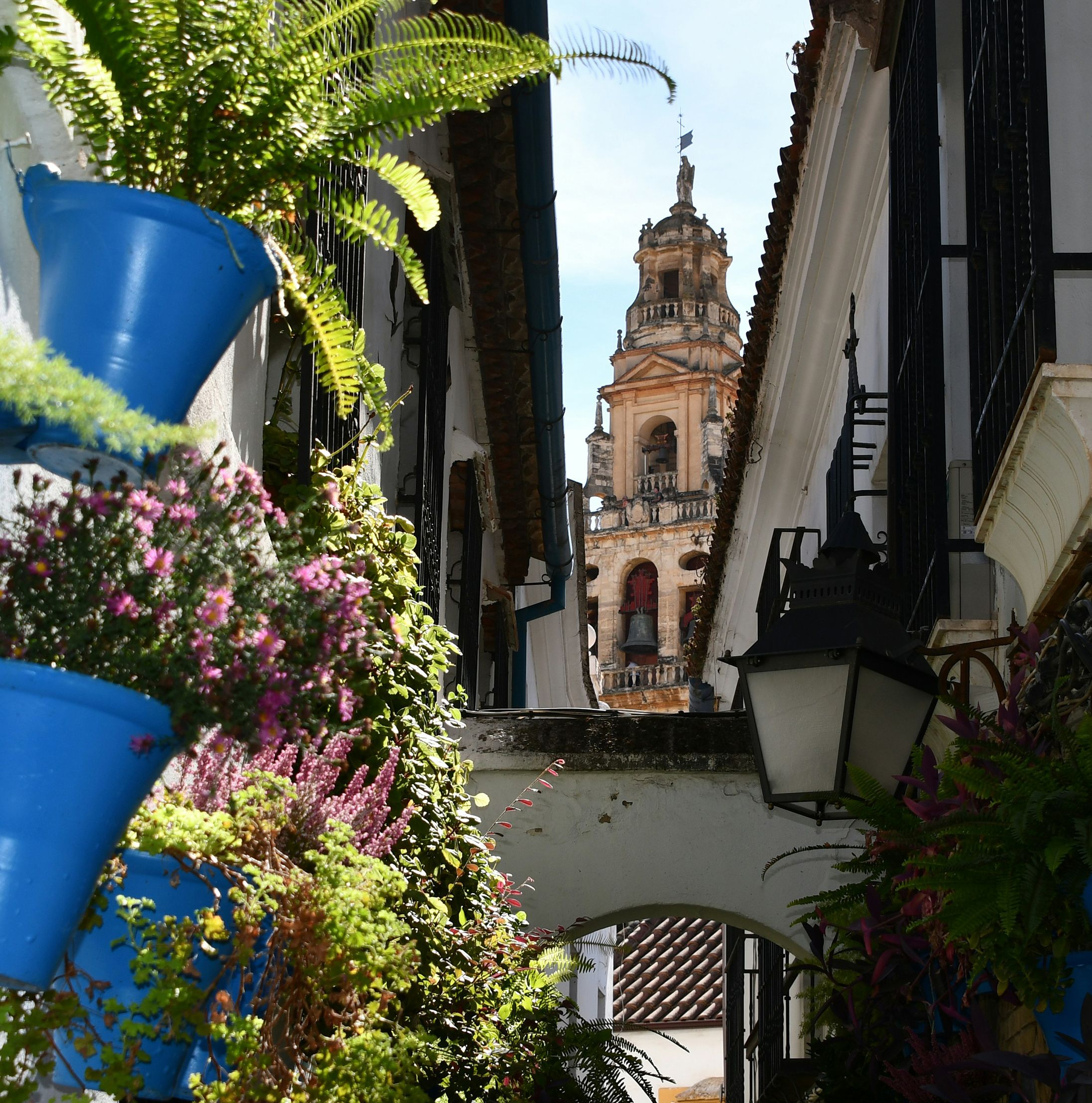 Foto patios cordobeses Ideal Inmobiliaria